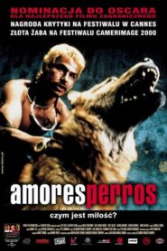 Amores perros Cały Film