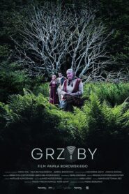 Grzyby Cały Film