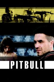 Pitbull Cały Serial