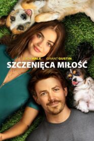 Szczenięca miłość Cały Film