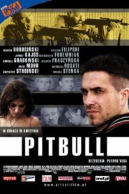 Pitbull Cały Film