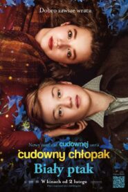 Cudowny chłopak. Biały ptak Cały Film