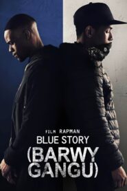 Barwy gangu Cały Film