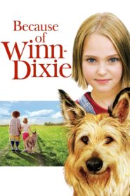 Dzięki tobie, Winn-Dixie Cały Film