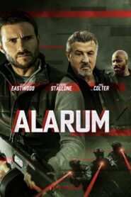 Alarum Cały Film