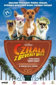 Cziłała z Beverly Hills Cały Film